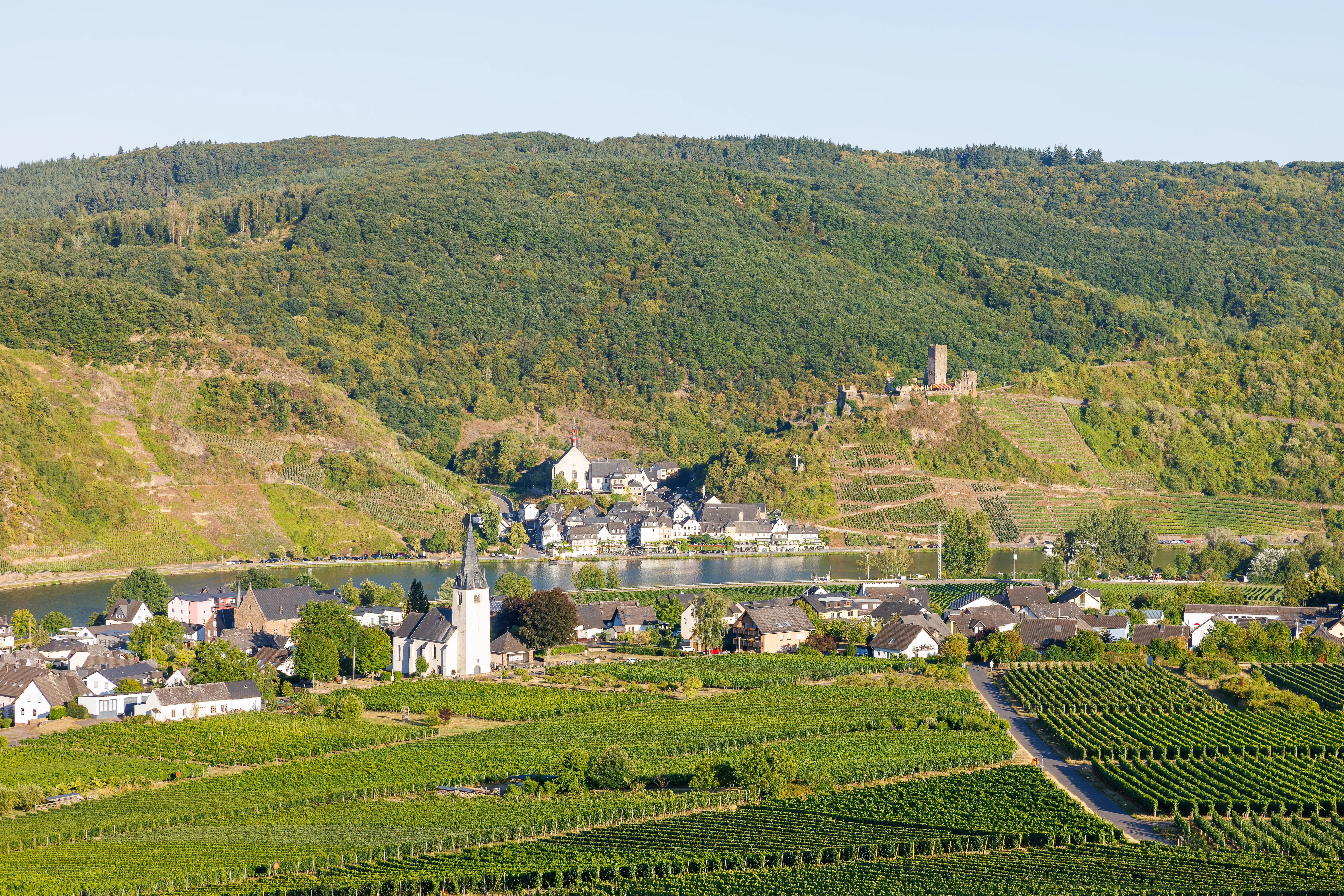 Blick über die Weinberge in Ellenz über die Mosel bis nach Brieden mit Burg Metternich