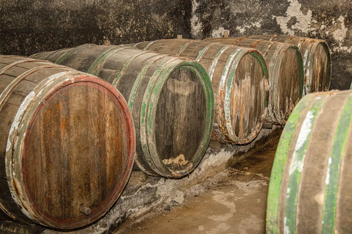 Alte Holzfässer im Fasskeller des Weinguts Fuhrmann-Burg